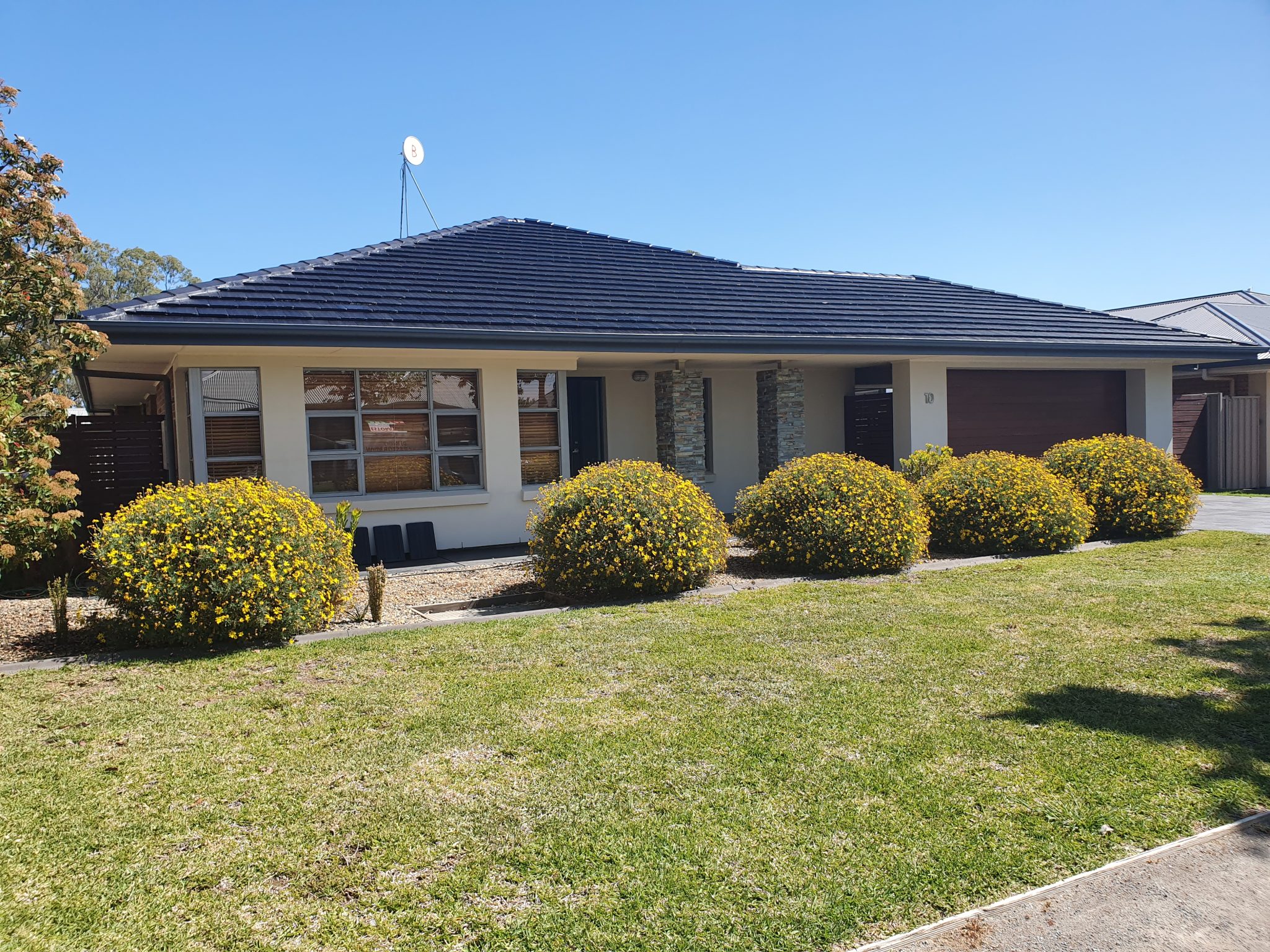 Single-storey home with a dark tiled roof and front garden